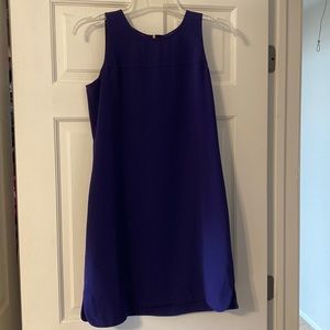 Anne Taylor loft dress
